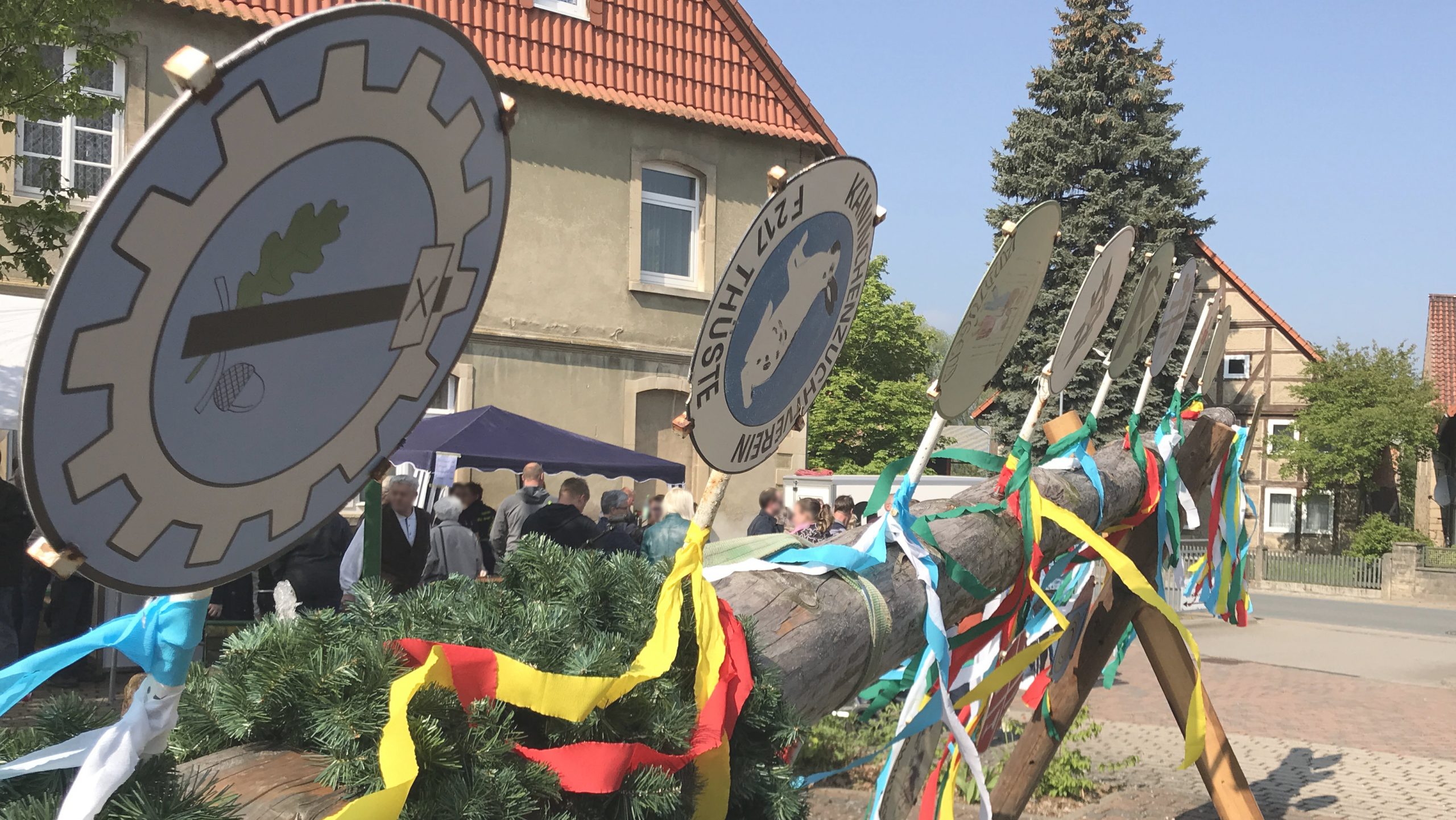 Maibaum in Thüste