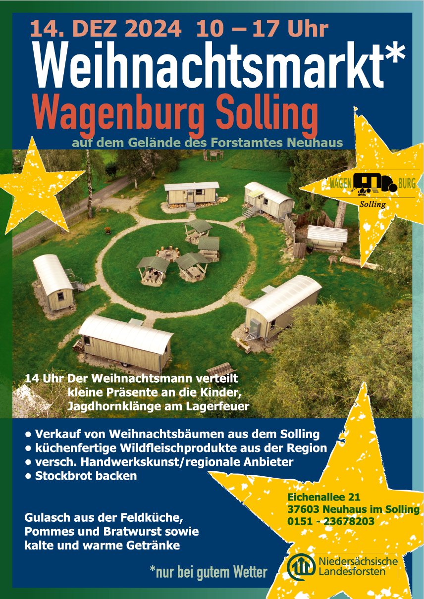 Weihnachstmarkt Wagenburg